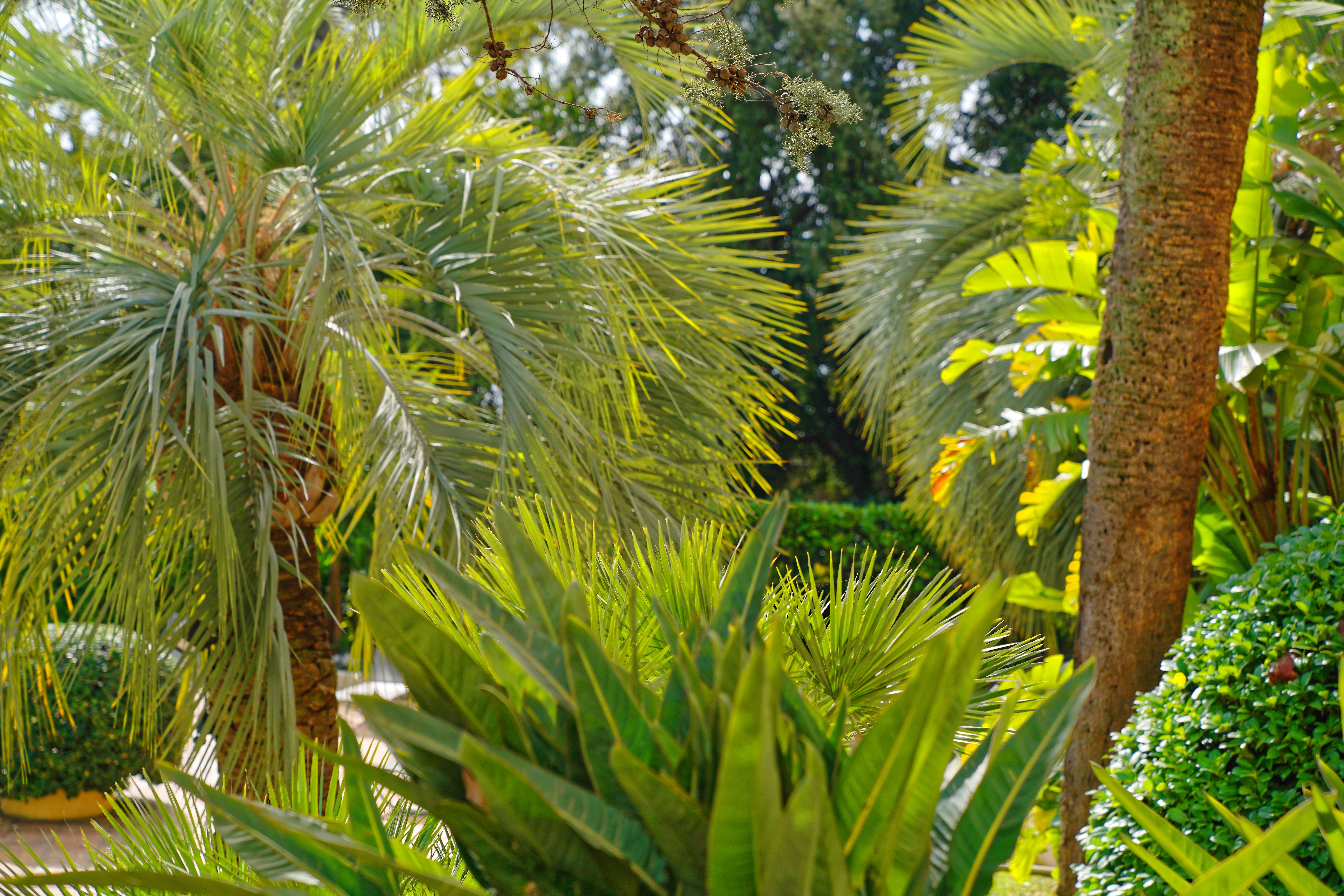 Luxotel Cannes Esterno foto