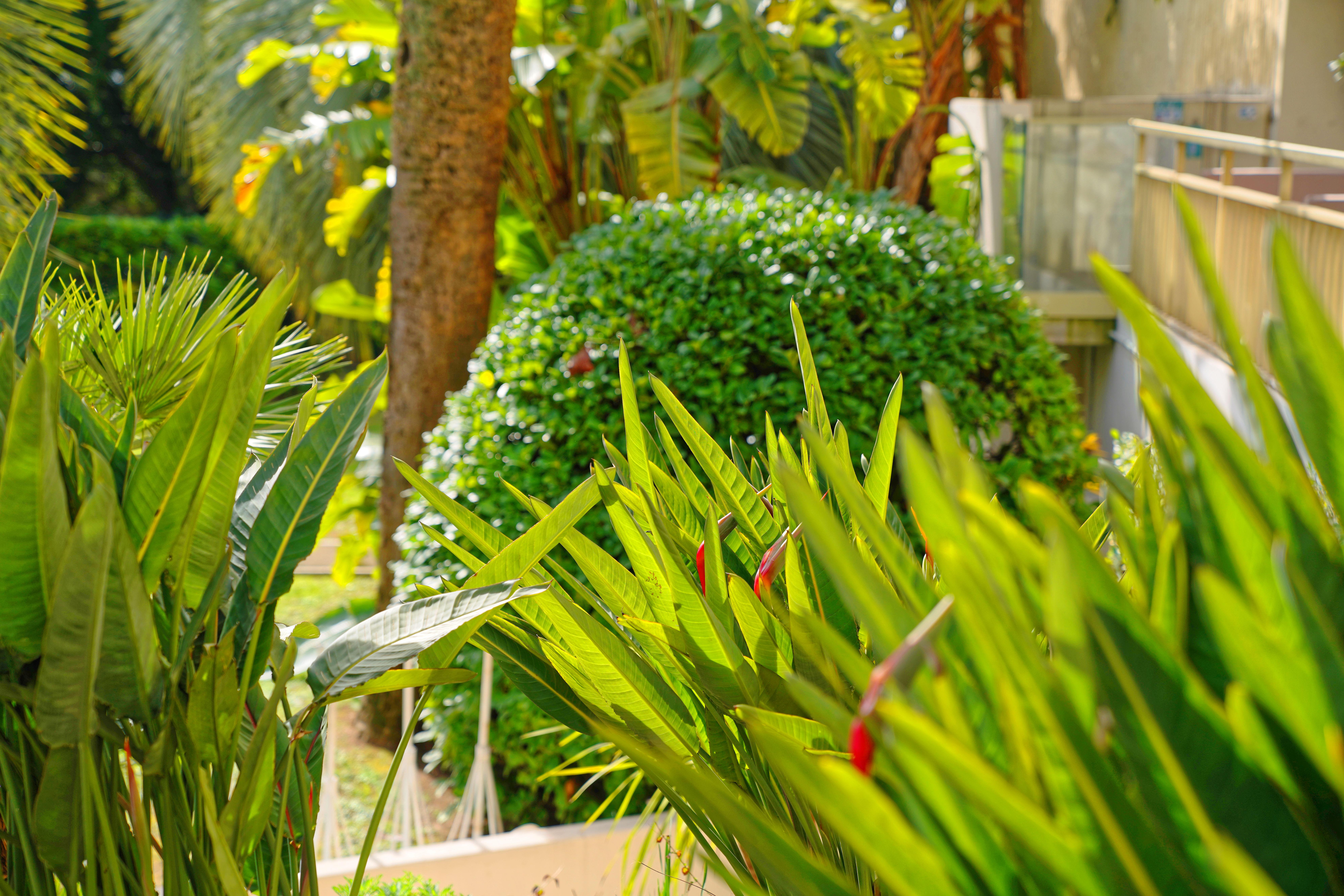 Luxotel Cannes Esterno foto