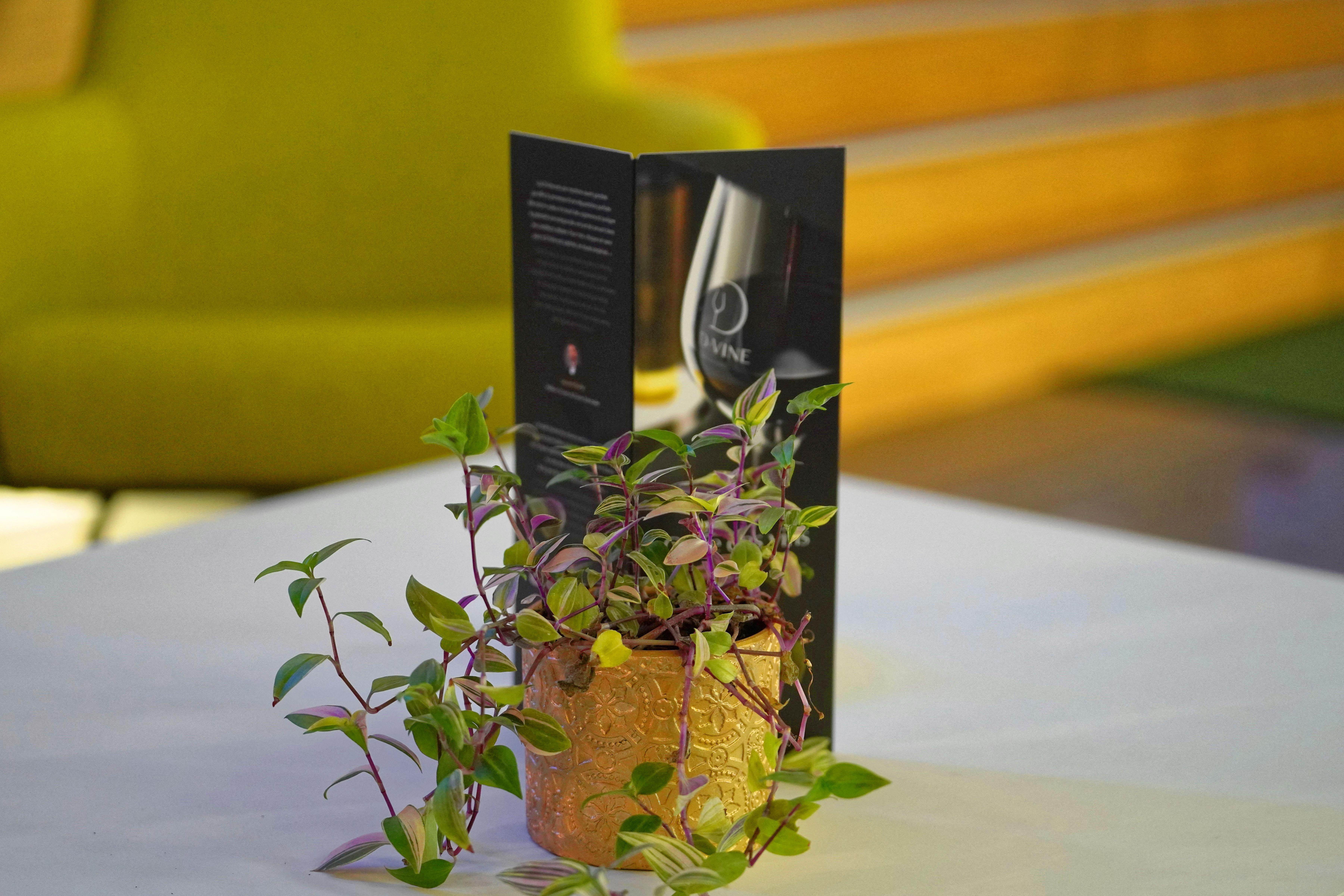 Luxotel Cannes Esterno foto