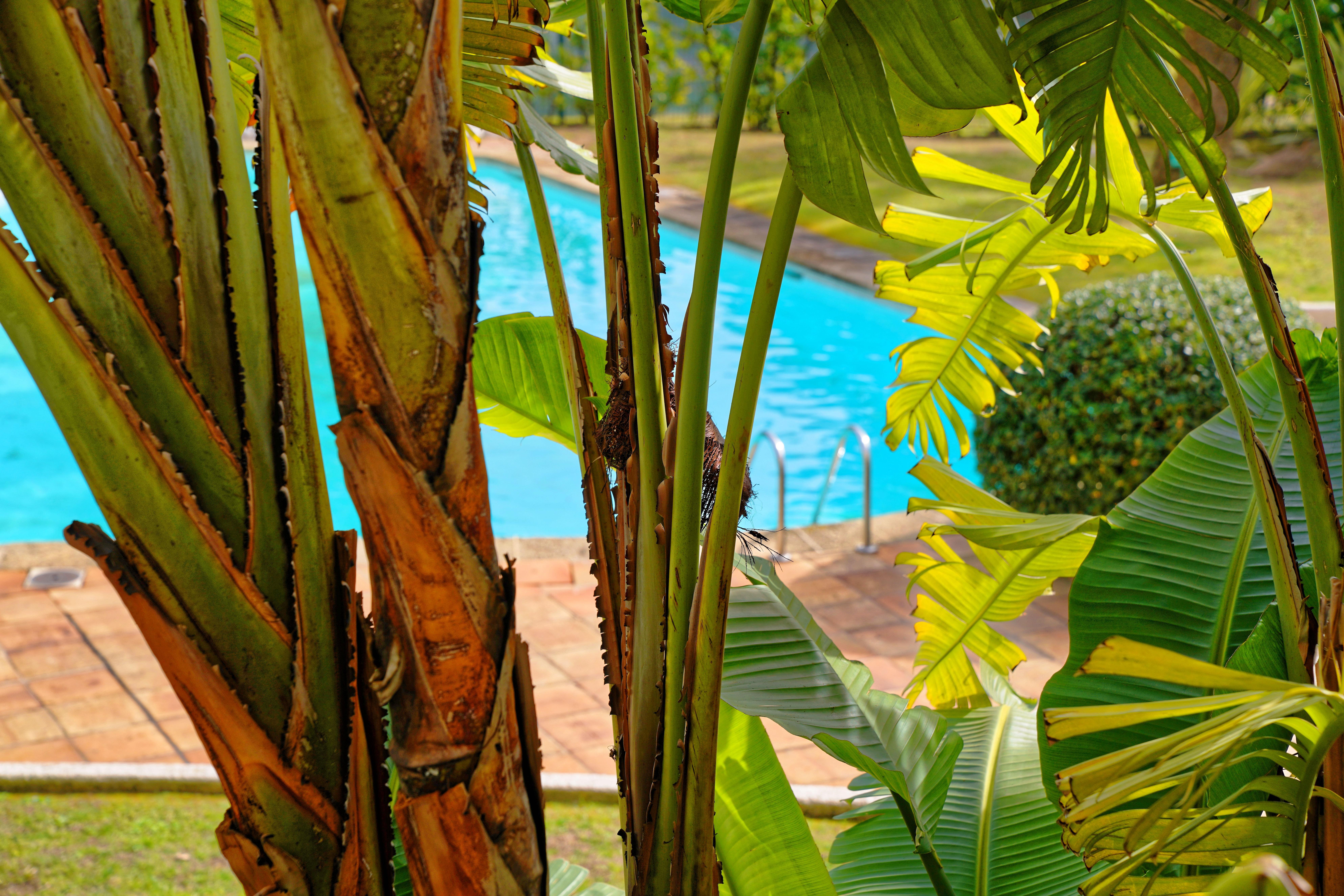 Luxotel Cannes Esterno foto